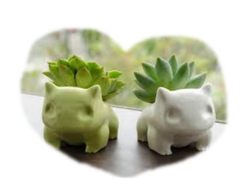 Image of two succulents in pots shapped like bulbasaur